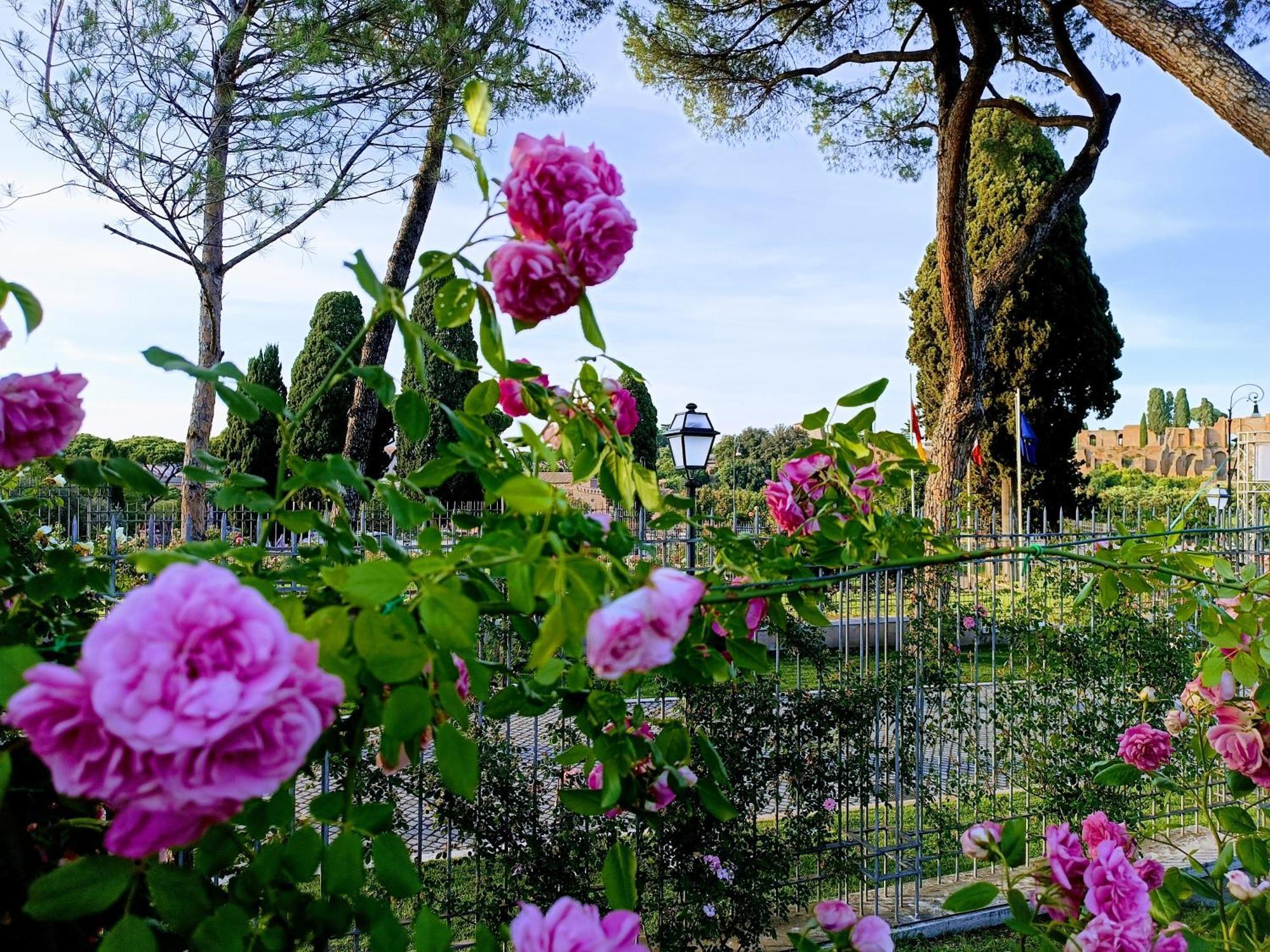 Porta Maggiore 9 Locazione Turistica Homestay Rome