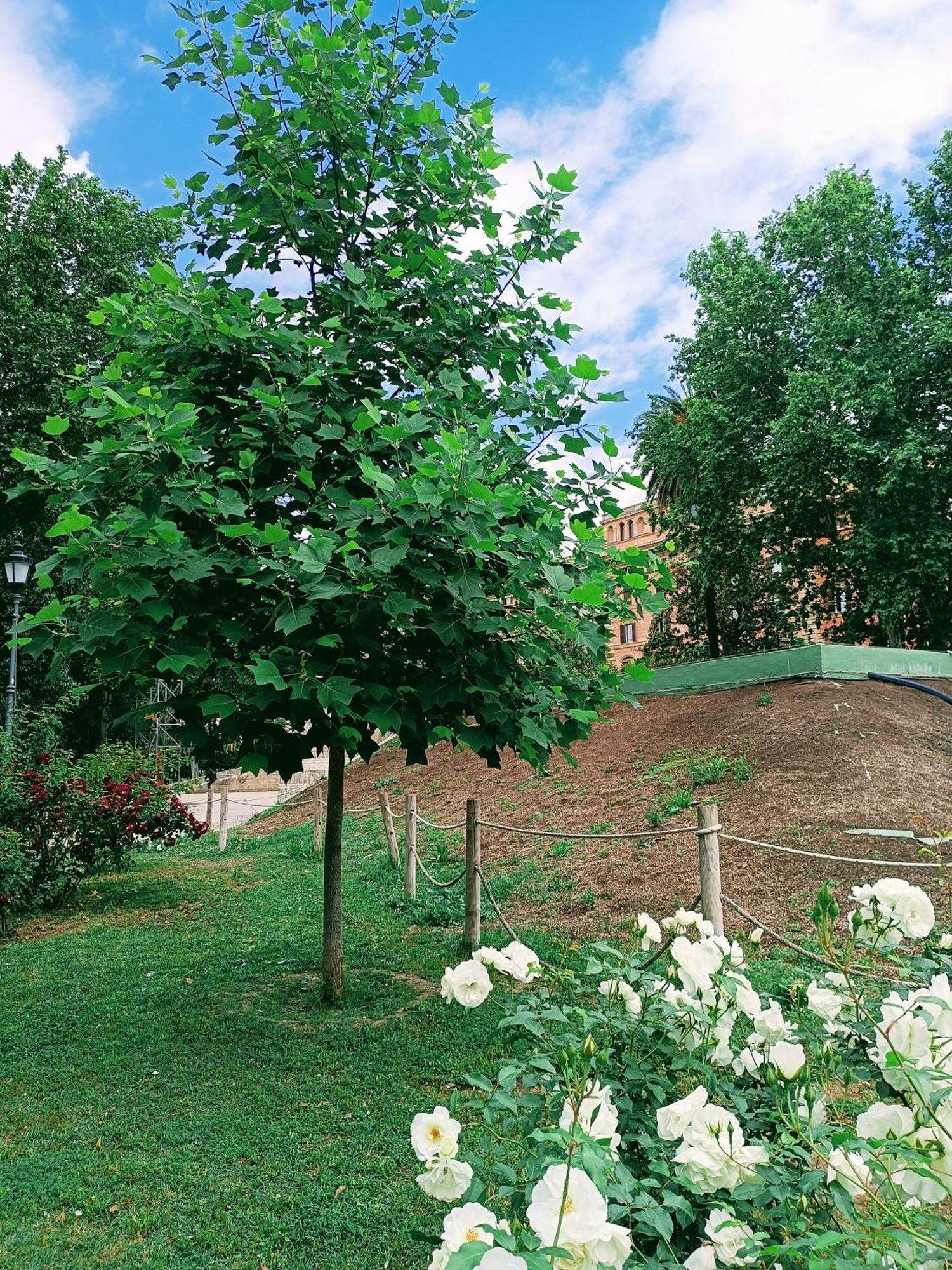 Homestay Porta Maggiore 9 Locazione Turistica